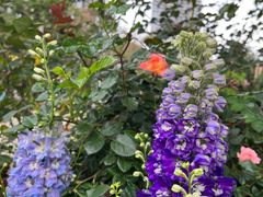 -人民公园(罗湖区)