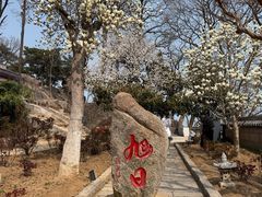 -崂山仰口游览区