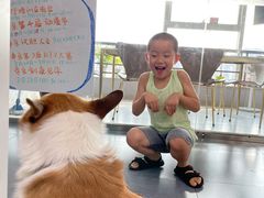 -帝京日语(春熙路旗舰校区)