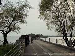 -贡湖湾湿地公园