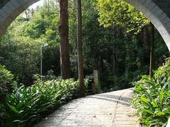 景点-水濂山森林公园
