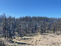 -瓦屋山景区
