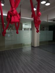 -榕树上·瑜伽普拉提