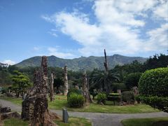 -深圳仙湖植物园
