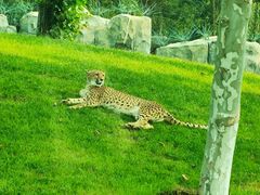 -北京野生动物园