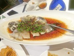 -南麓·浙里(外滩店)