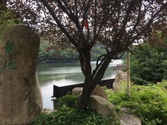 -白马涧龙池景区