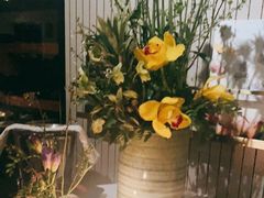 -蝶舍·MAISON PAPILLON