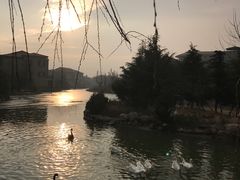 -芭东小镇温泉