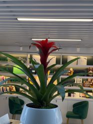 -章光101防脱养发荟