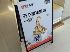 -野人先生现做冰淇淋(北京王府井东方新天地店)