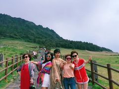 黄花鱼水饺-三合园水饺(二马路店)