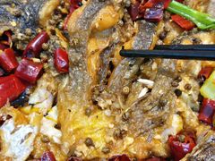 -老板恋上鱼(高新万达店)