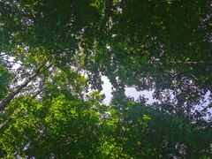 -桤木河湿地公园