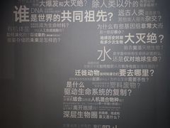 -四川大学博物馆
