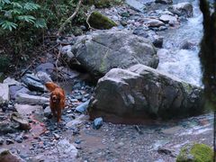 -西岭雪山大飞水景区