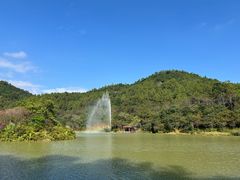 -广州白江湖森林公园