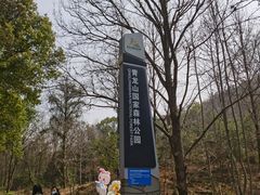 -青龙山国家森林公园