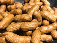 糟卤花生-沪小胖小龙虾(淮海中路旗舰店)