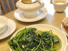 炒番薯叶-东山茶寮(新安店)