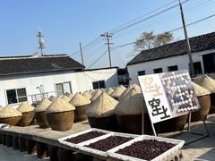 -苏州市吴中区光福窑上花果蜜饯厂