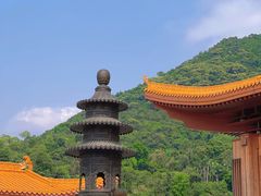 -深圳仙湖植物园