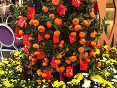 -新兴·金羊座·粤菜点心(乐峰店)