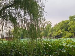-莲池书院博物馆