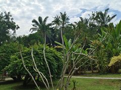 -中国科学院西双版纳热带植物园