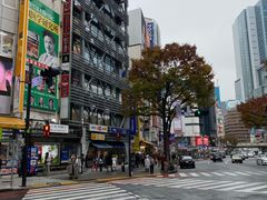 -涩谷区
