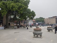 -悦城龙母祖庙