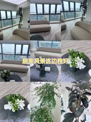 -HEYAN荷妍专业脱毛连锁机构