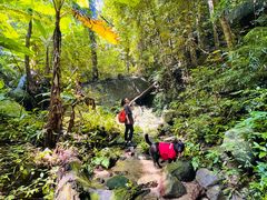 -七仙岭温泉国家森林公园