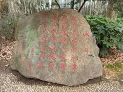 -共青国家森林公园-售票处