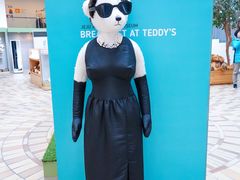 -济州岛泰迪熊博物馆