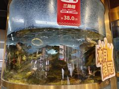 -蜀滋香鲜鱼美蛙火锅(339店)