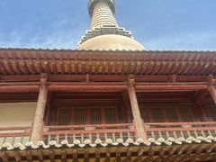 -张掖大佛寺景区