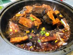 -三强鸽子(中原路店)