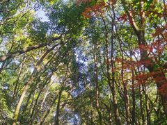 -杭州半山国家森林公园