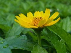 -润记农家菜