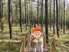 -塞罕坝国家级自然保护区