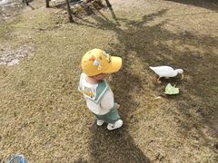 -前小桔亲子创意农场·草莓采摘·露营烧烤