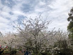 -南山植物园