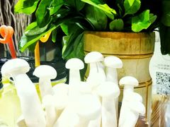 -蕃茄述·好汤自然来(江汉路店)