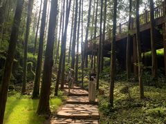 -山王坪喀斯特国家生态公园