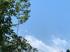 -华凌山庄·隐湖栖
