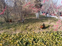 -石家庄市动物园