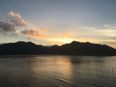 -北岐滩涂