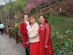 -重庆彩云湖湿地公园