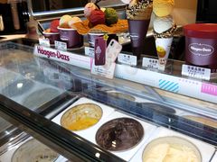 -哈根达斯(虹口店)